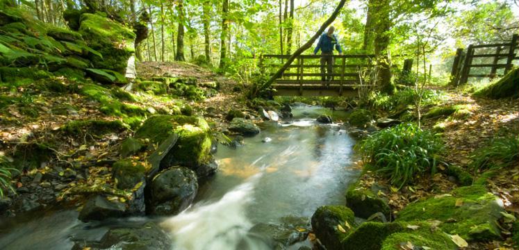 High Dam stream