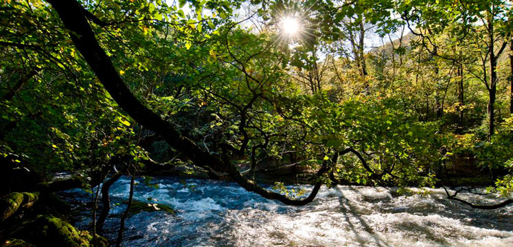 River Rothay running through White Moss Common copyright Charlie Hedley