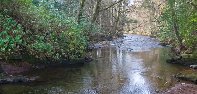 River Calder copyright Charlie Hedley