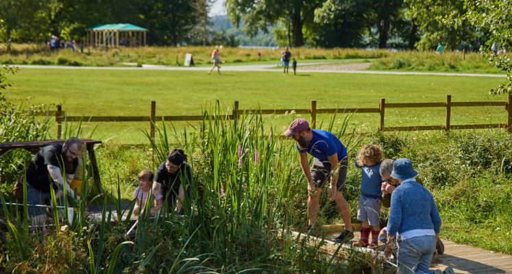 people looking closely at the new pond habitat