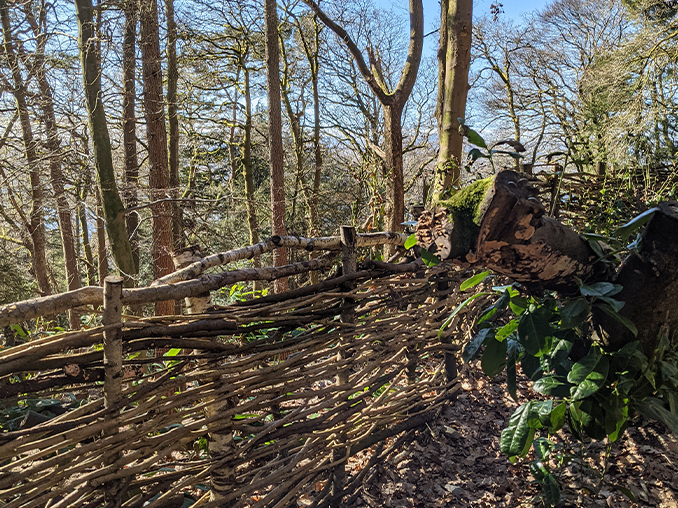 A woven fence in amongst trees.