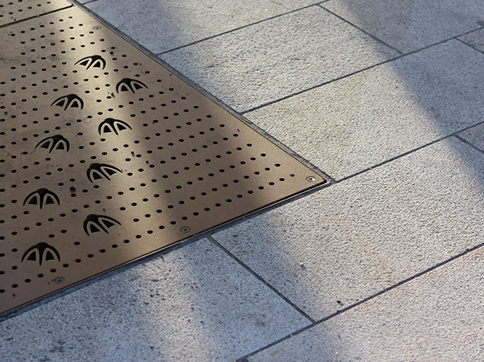 Bird footprints on a city street.