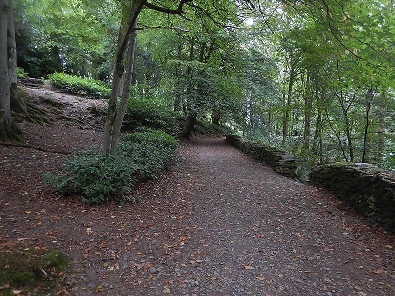 The path climbs further through the woods.