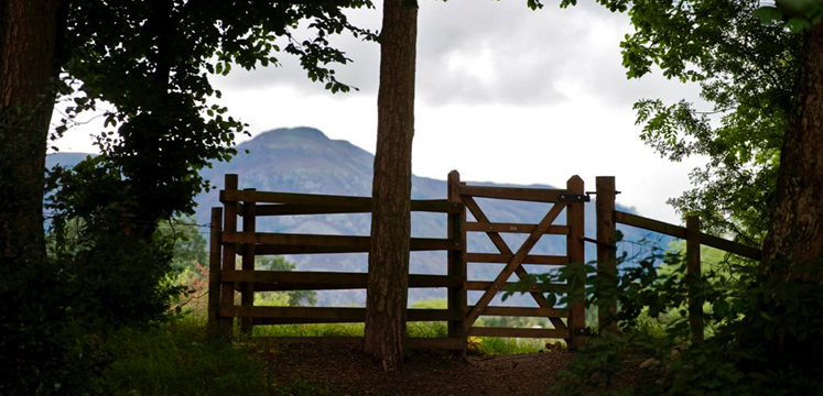 Gate and trees along path near Portinscale copyright Charlie Hedley