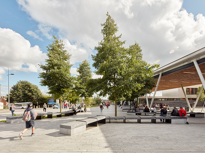 Trees and seating in a pedestrian city area.