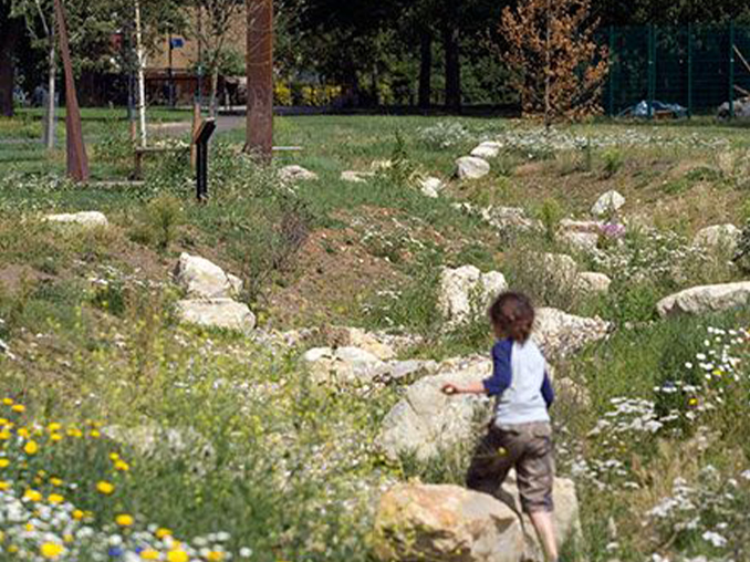 A child running through small bolders and meadow plants and flowers. 