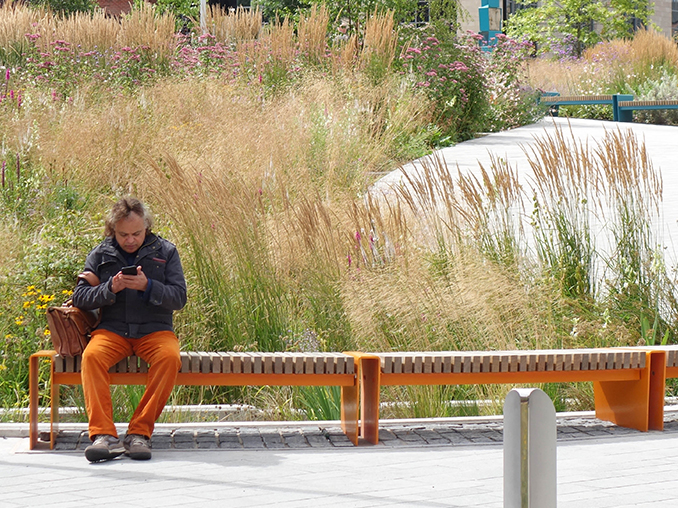 Man sat on a bench with tall grasses and meadow plants behind.