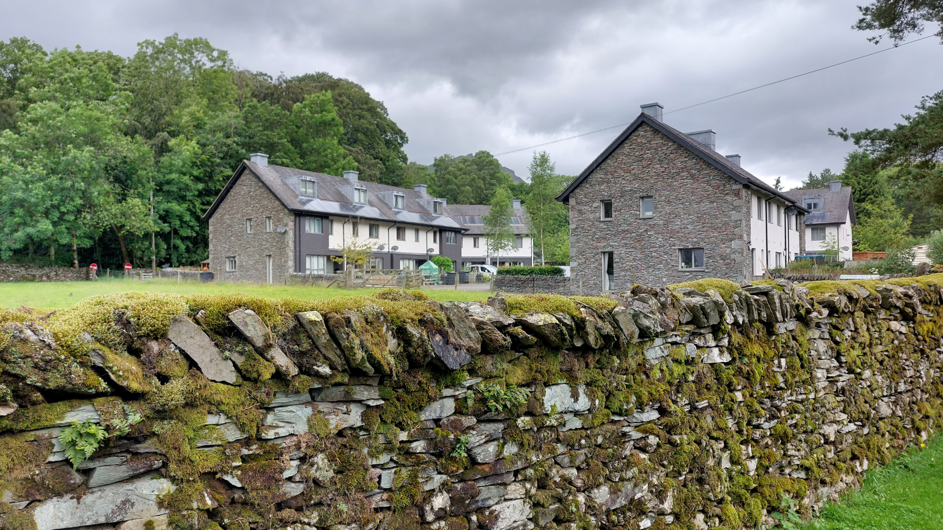 Grasmere drystone wall around the boundary which provides additional, varied microclimates and shelter for invertebrates, reptiles, and small mammals.