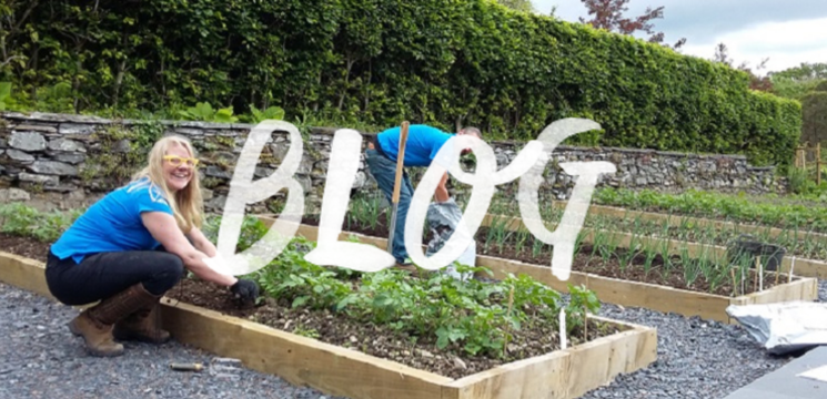 Brockhole Kitchen Garden