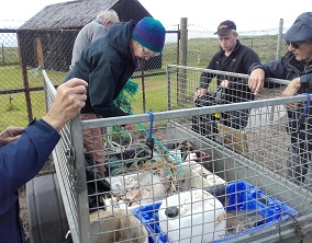 West Coast Beach Clean