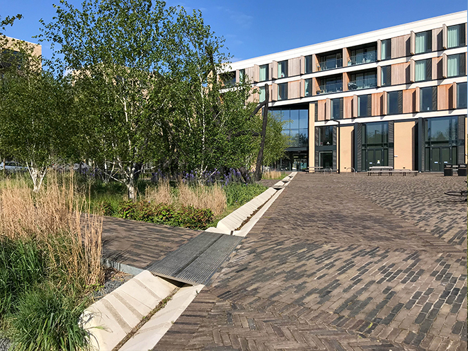 New housing block with tree and tall grass planting in front and a small drainage ditch.