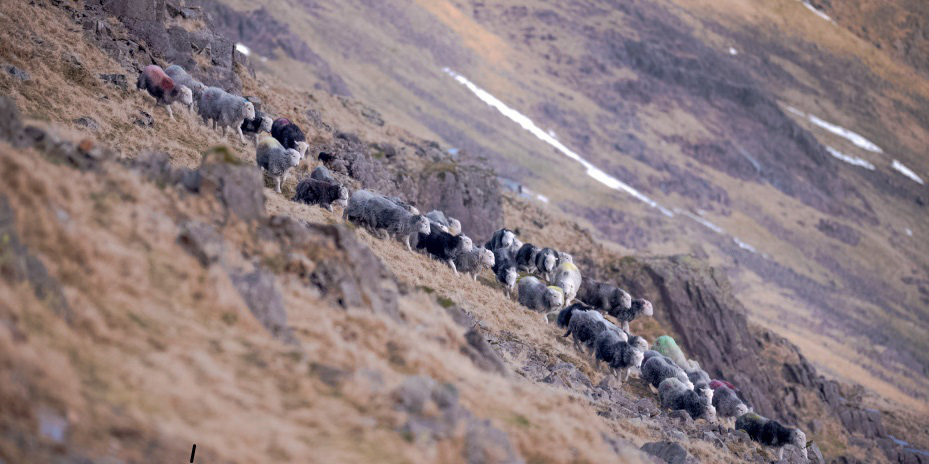 Lake District world heritage main image