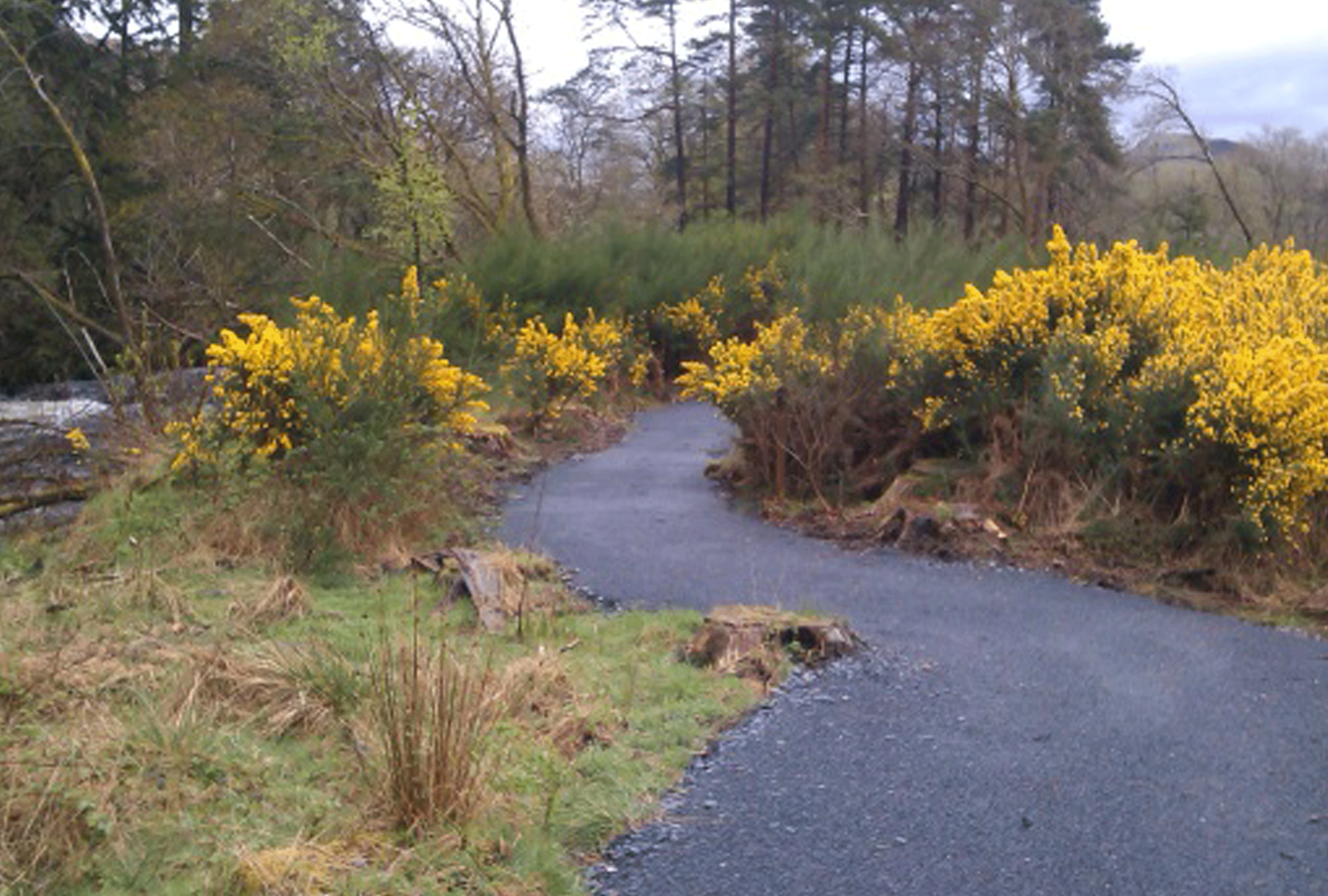 eskdale