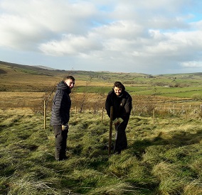 Tree Planting