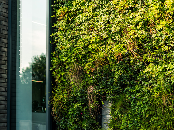 A vertical wall covered in plants.