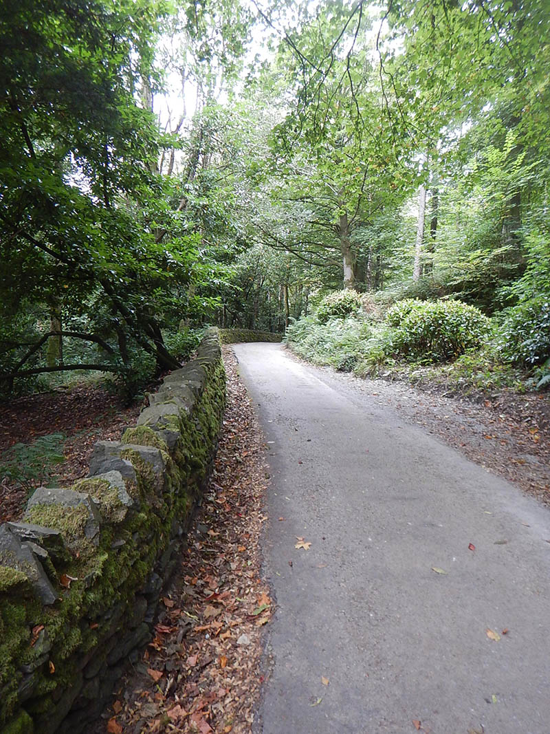 A long sweeping left hand bend on the tarmac road.