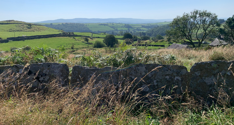 Wall and Lake District view