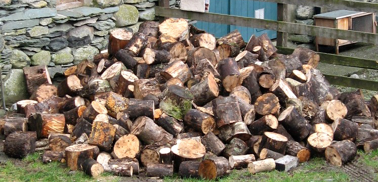 Pile of logs copyright Helen Reynolds