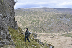 Photo of Montane Vegetation in the Lake District