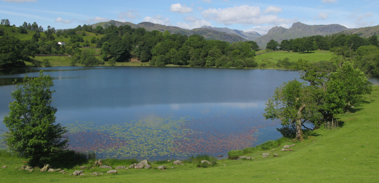 Loughrigg Tarn in the sunshine