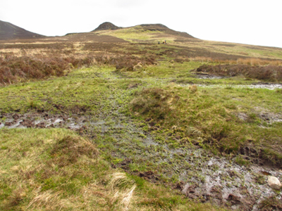 Boggy Bleaberry Fell