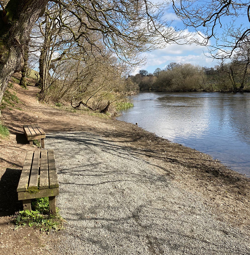 Wooden benches at the side of a wide gravel track.