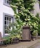 Cottage in Hesket Newmarket © Michael Turner