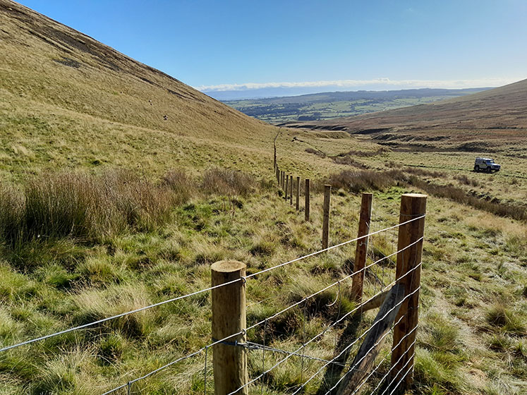 Caldbeck Common Exclosures