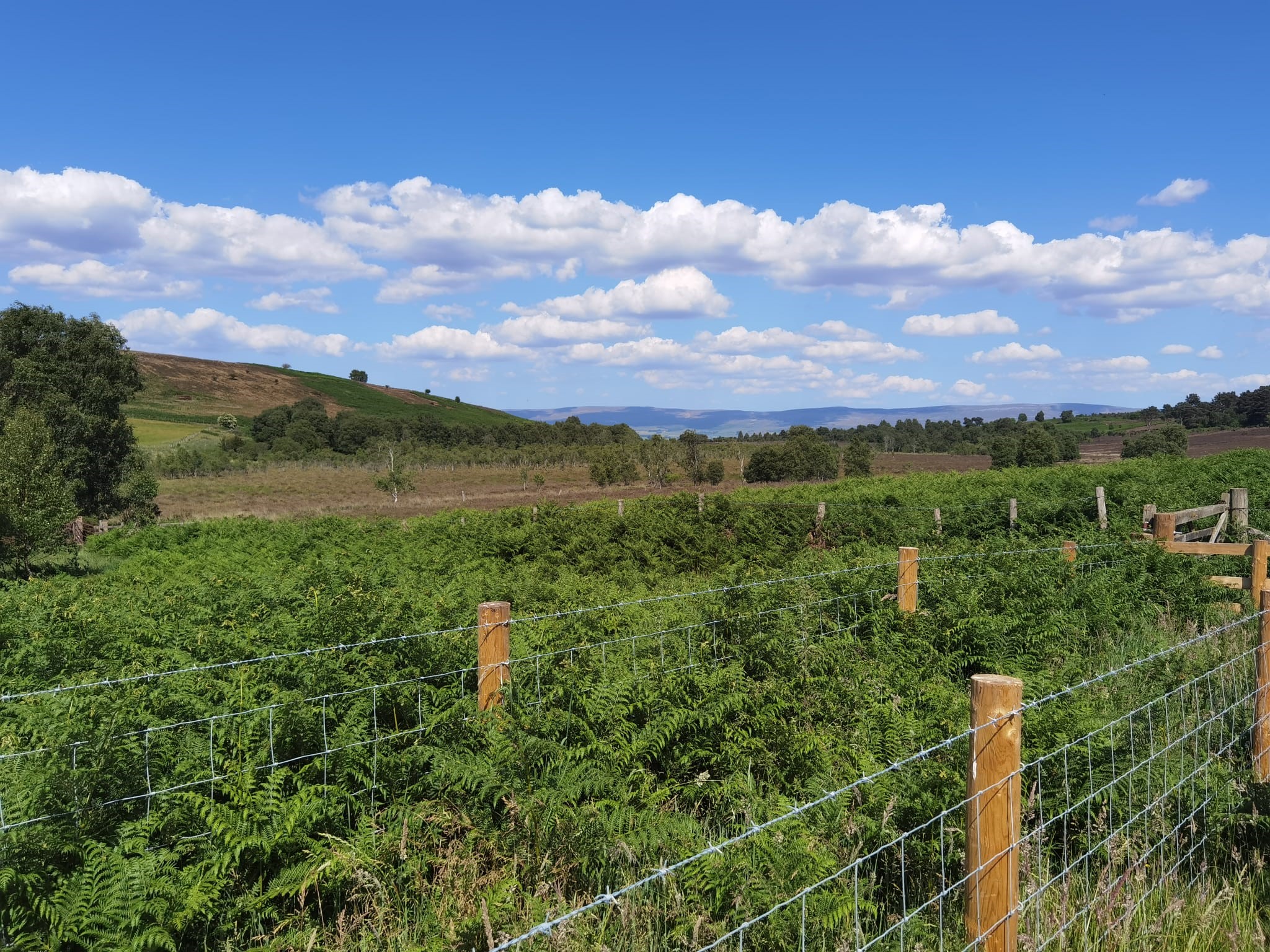 Eden Catchment - Nutrient Neutrality North West