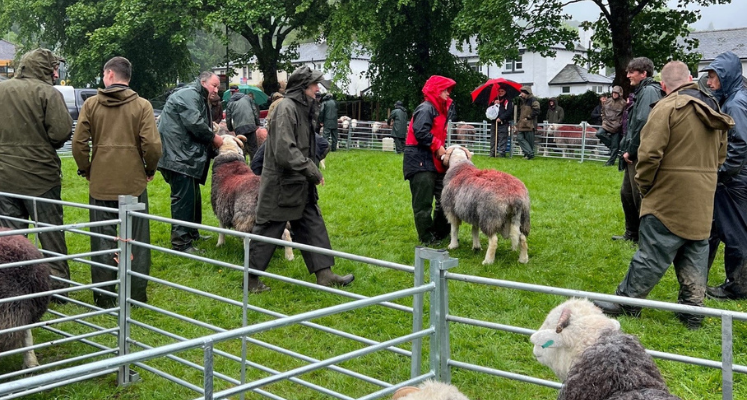 Judges at Keswick Tup Fair