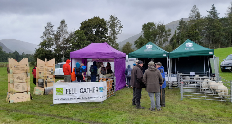 Tents in the field at Grasmere Fell Gather