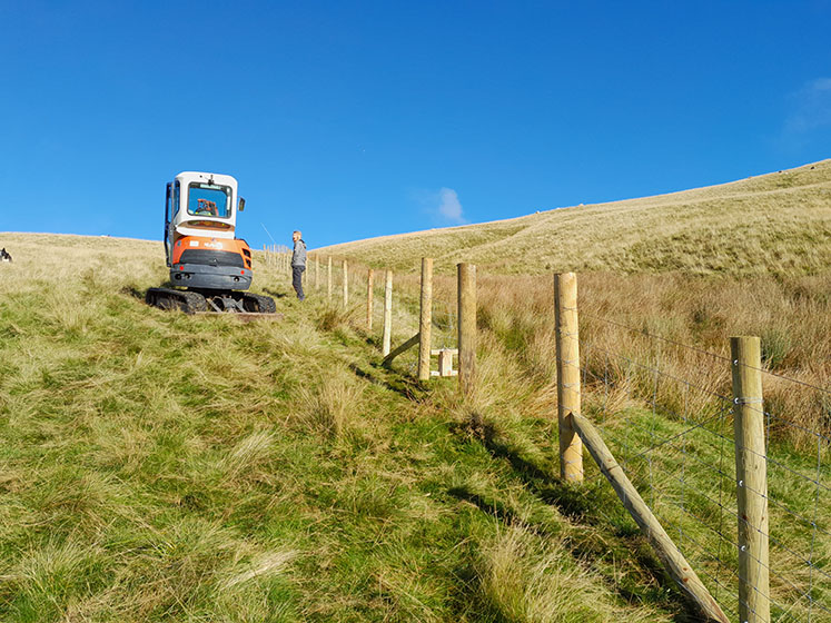 Caldbeck Common Exclosures - fencing