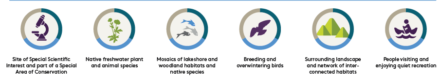 Infographic showing what makes Bassenthwaite special