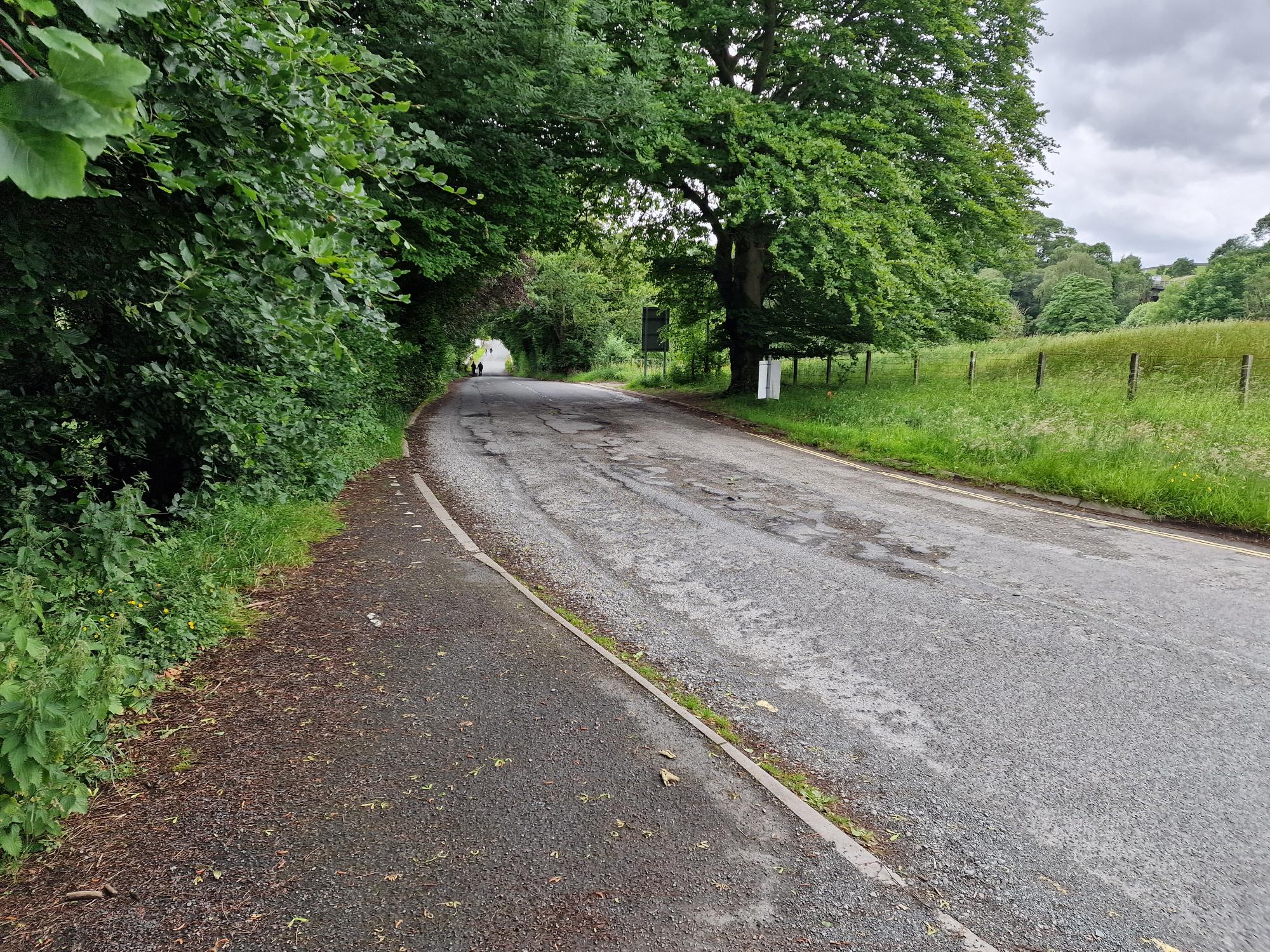 Road on K2T trail