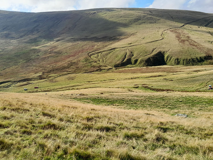 Caldbeck Common Exclosures - fencing