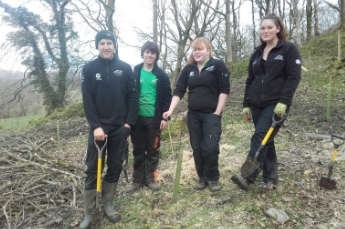 volunteers planning trees 