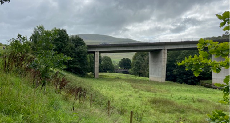 Bridge in a field