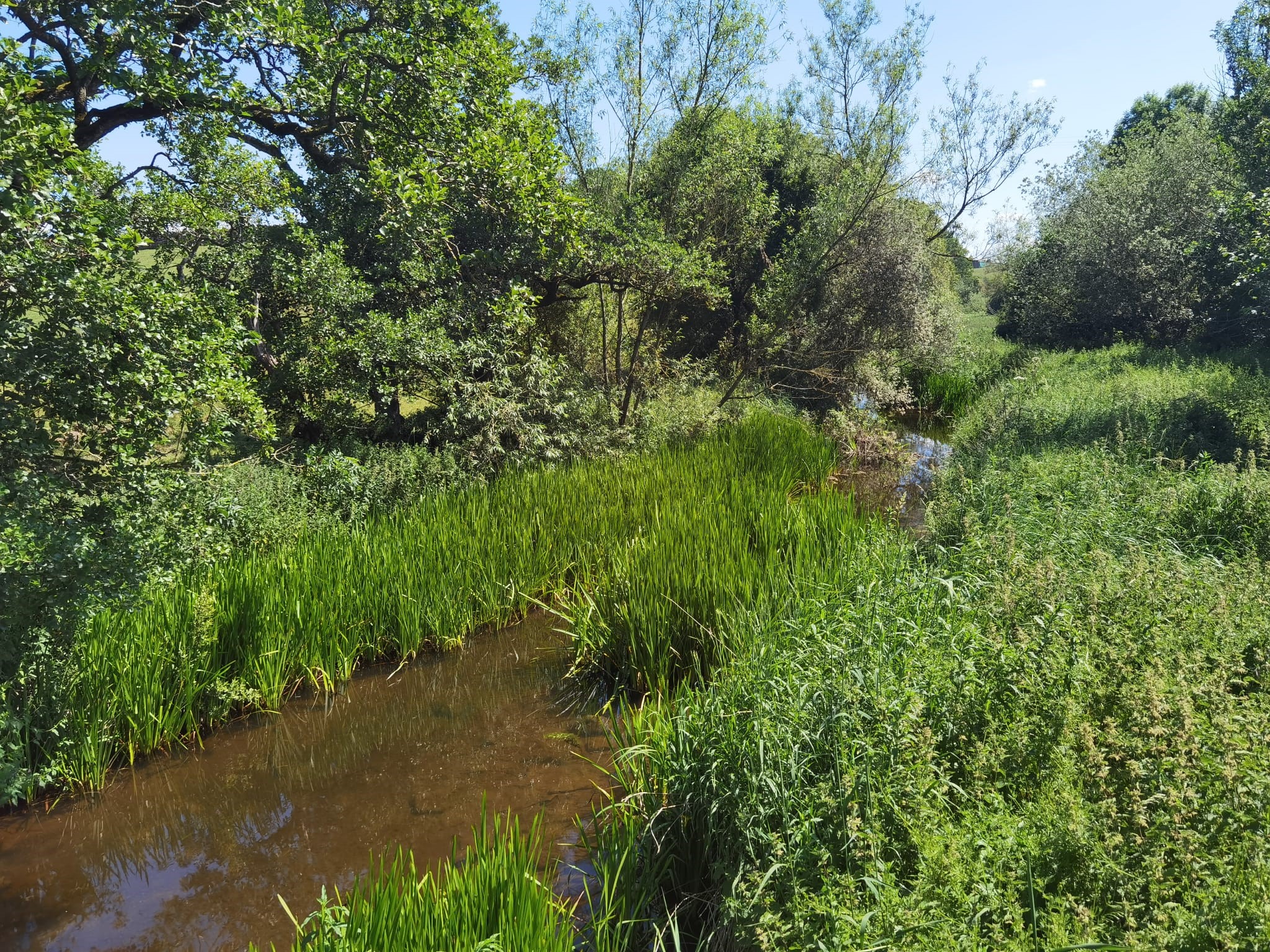 Eden Catchment - Nutrient Neutrality North West