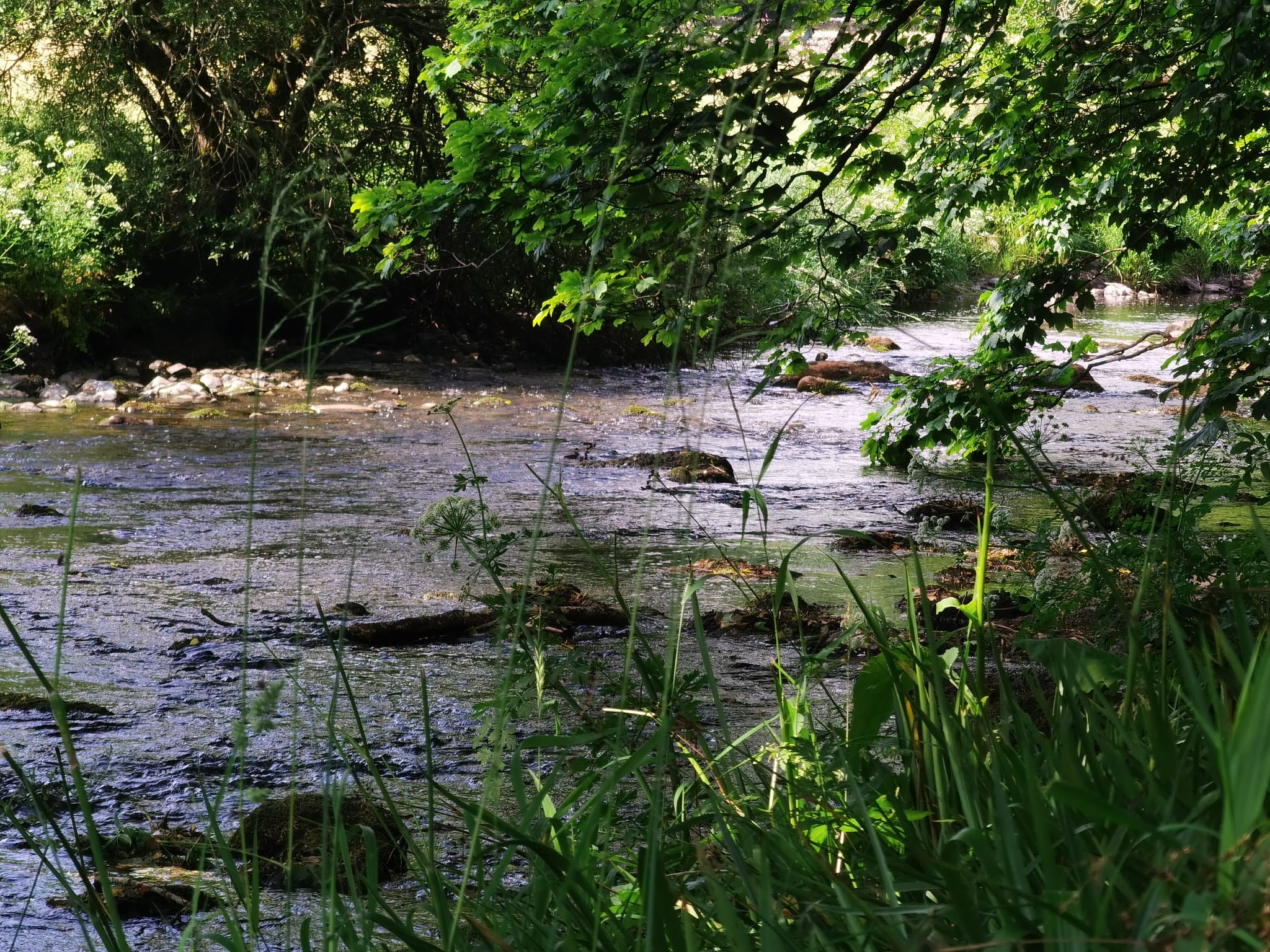 Eden Catchment - Nutrient Neutrality North West