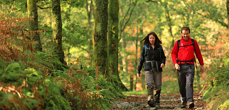 Two people walking along a path. 