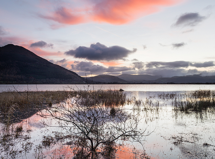 Bassenthwaite Lake - National Nature Reserve