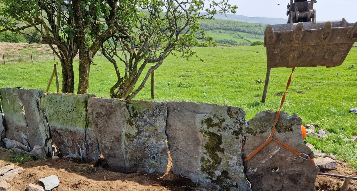 Interlocking shard fencing is unique to central Lake District. A FiPL grant is reinstating shard fencing in two locations.