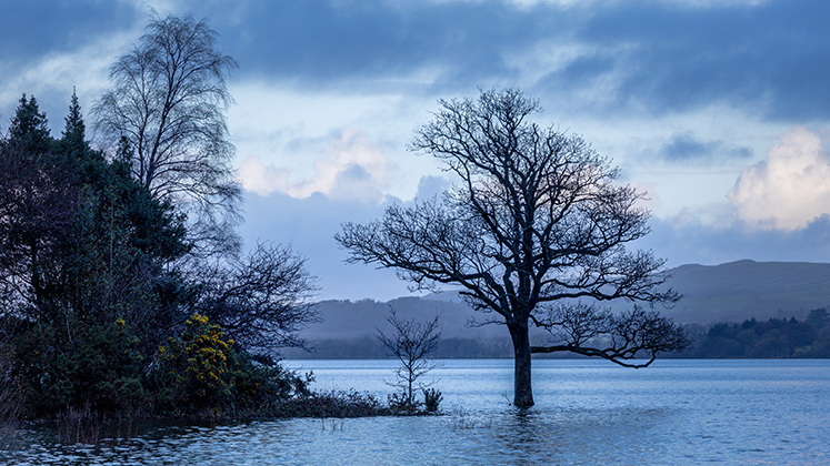 Bassenthwaite Lake - National Nature Reserve