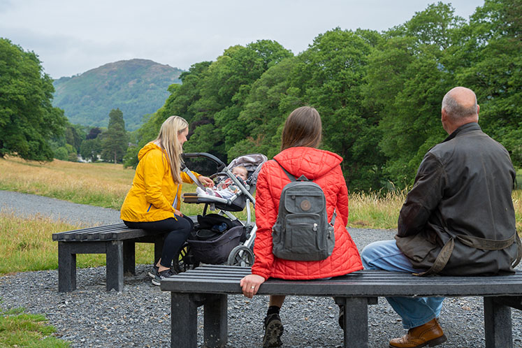 Picnic Bench along West Windermere Way