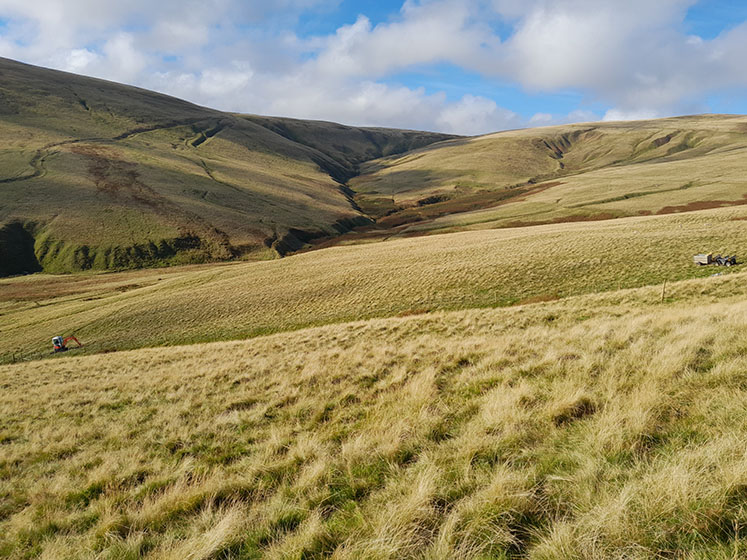 Caldbeck Common Exclosures