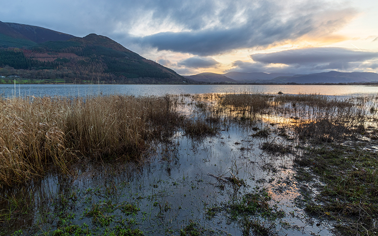 Bassenthwaite Lake - National Nature Reserve