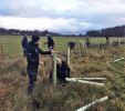 Tree planting - LDNPA