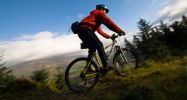 Cyclist at Whinlatter Forest - Dave Willis / Cumbria Tourism