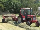 Haybaling - Andrea Meanwell