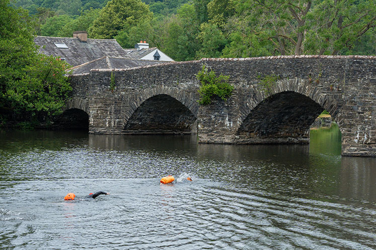 Bridge along West Windermere Way